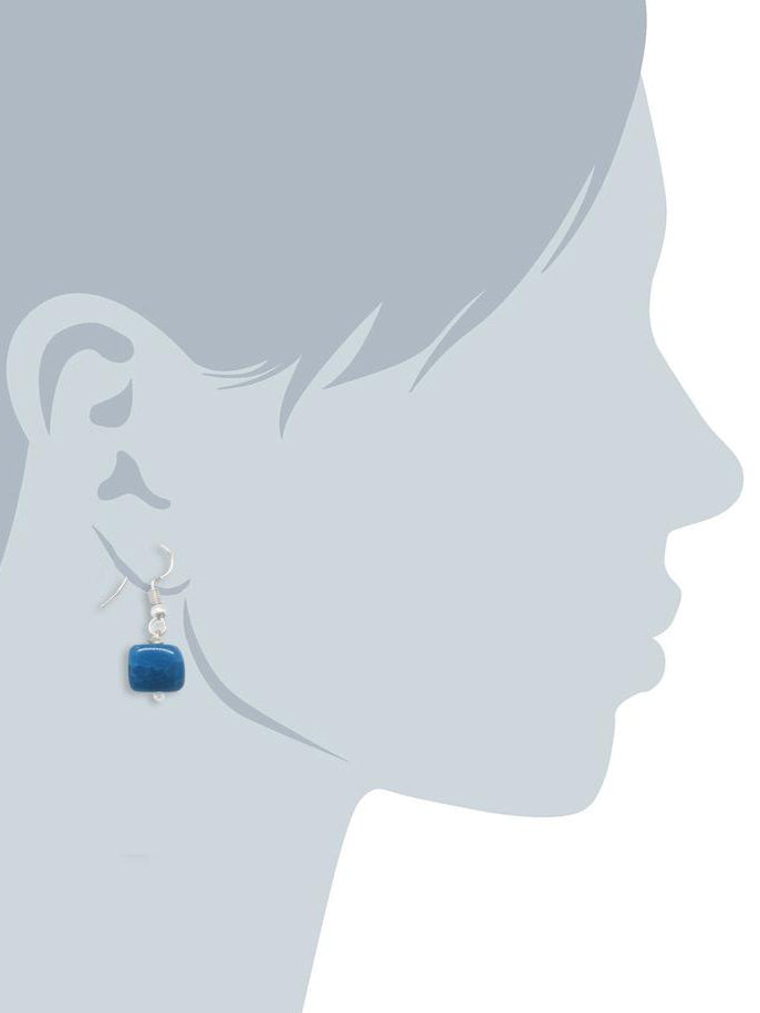 Glossy Blue Stone Fish Hook Drop Earrings